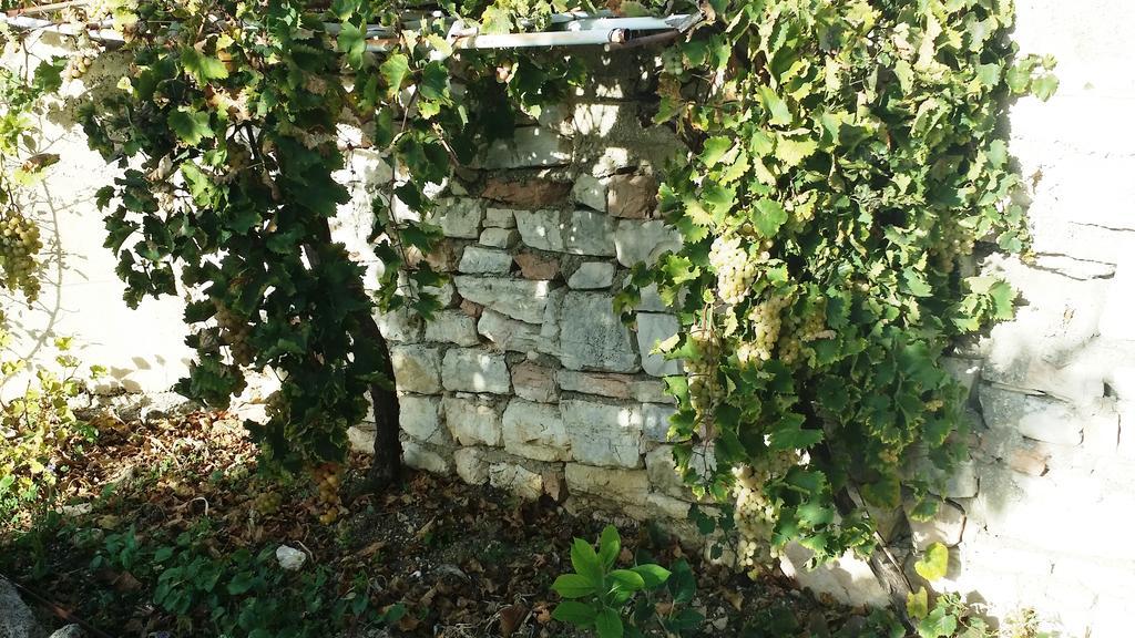 Ferienwohnung Sole E Fiori Di Sicilia Valderice Exterior foto
